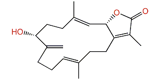 16-Oxosarcophytonin E
